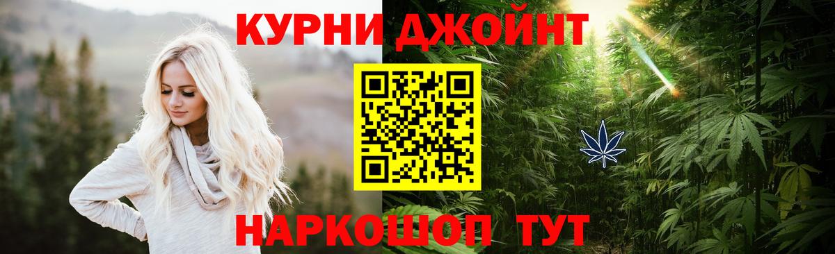 Бошки марихуана планчик  Вход с VPN  Новозыбков  Конопля MAZAR  Шишки марихуана Ganja 